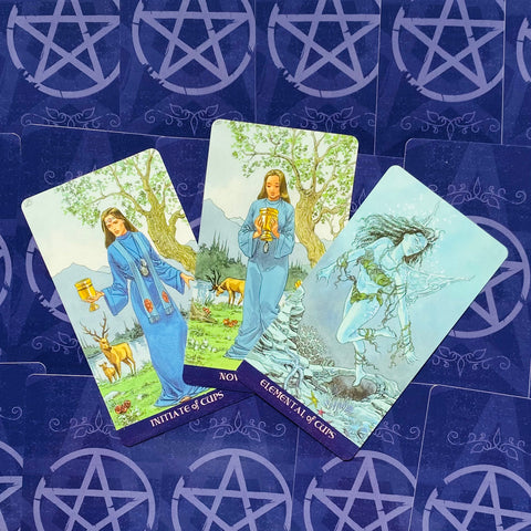 Pagan Tarot kortos ir knyga