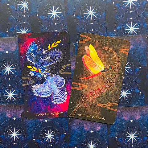 Tarot kortos, du kortų pavyzdžiai – mėlyna Two of Wands ir aukso-tonių Ace of Wands ant žvaigždėto fono