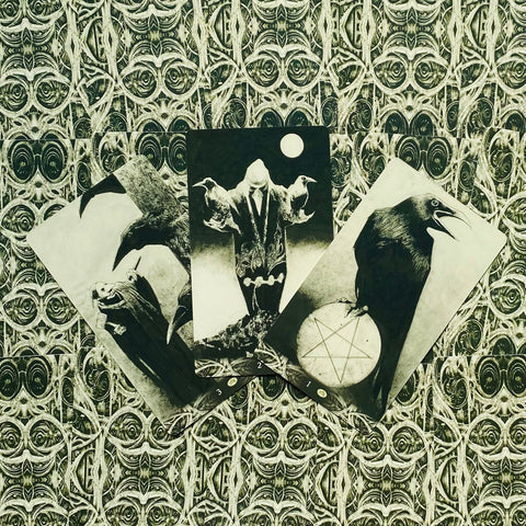 tarot kortos su varno iliustracijomis, trijų kortų išdėstymas plokštumoje, juodai baltos detalios iliustracijos ir ornamentinis fonas
