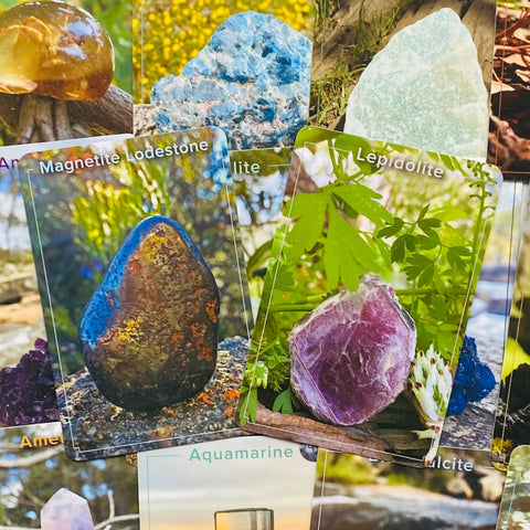 Kristalų kortelės su artimu planu: Magnetite Lodestone tamsiai ruda ir Lepidolite violetinė, keli mineralų variantai fone