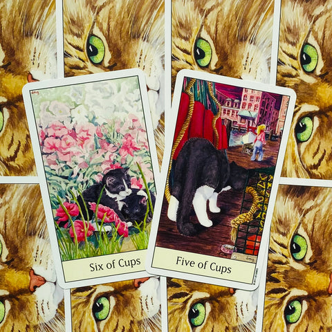 Tarot kortos su katėmis — dvi atviros kortos (Six of Cups ir Five of Cups) ant rudo katės rašto fono, parodytos priekiniu planu