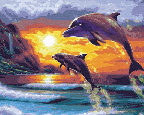 Tapybos rinkinys "Dolphins communicate"