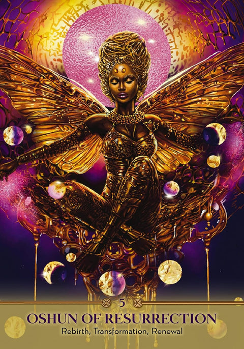 Korta Oshun of Resurrection — auksinė transformacijos korta su sparnais ir rožiniu žvaigždiniu fonu, pabrėžia atgimimą