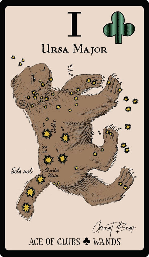 Magiška Starlore Arcana taro kaladė žvaigždynams + knyga (56 kort.)