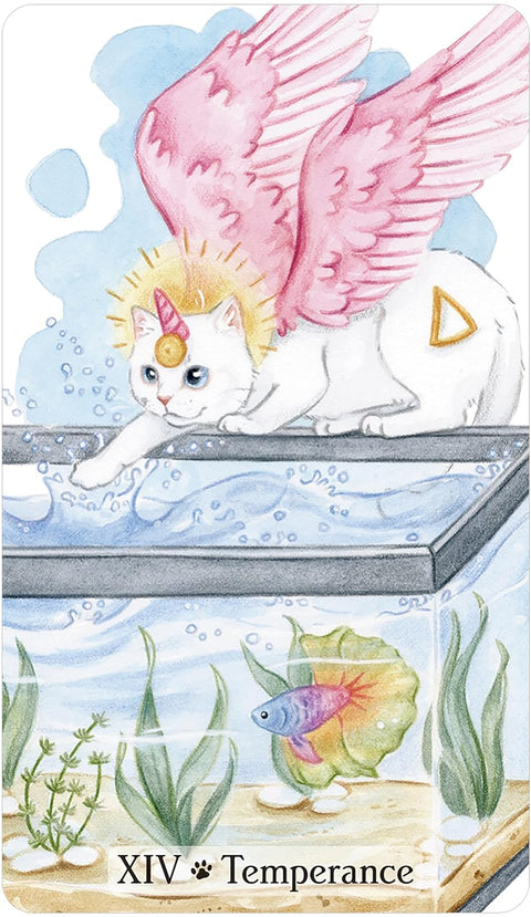 Caticorn taro kortos – 78 kortos + vadovas, katiniška magija