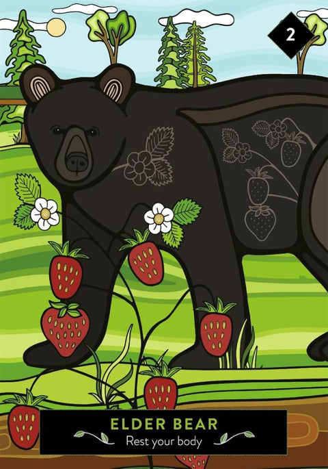 Elder Bear arbata, juoda pakuotė su braškių ir gėlių piešiniu, žalia etiketė „Rest your body“, priekinis vaizdas