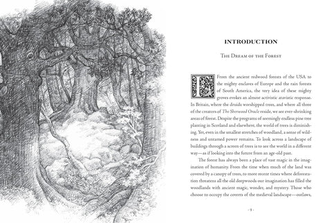The Sherwood Oracle: mistinės Robino Hudo orakulo kortos, 36 vnt + vadovas