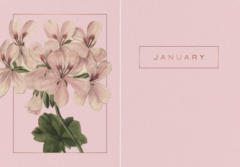 Kalendaro lapas su švelnia rožine pelargonijų iliustracija kairėje ir „January“ etiketė dešinėje, minimalistinis dizainas