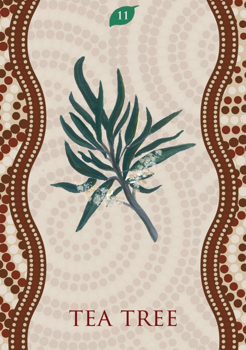 Aboriginal Healing Oracle kortosHOBI.LT 🇱🇹