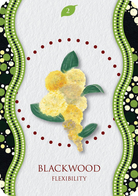 Blackwood korta su geltonu žiedu ir žaliosiomis taškuotomis juostomis, tekstūruotu popieriumi, rodoma kaip priekinė produkto pusė pirkėjui