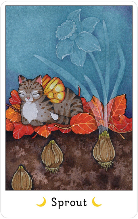 Affirmations of the Fairy Cats kortosHOBI.LT 🇱🇹