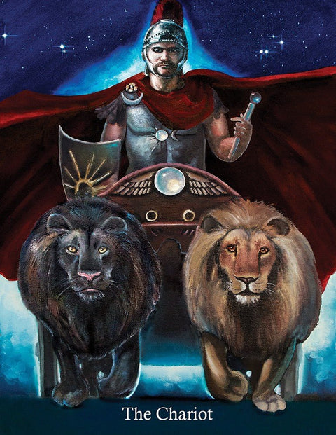 Ancestral Path Tarot kortosHOBI.LT 🇱🇹