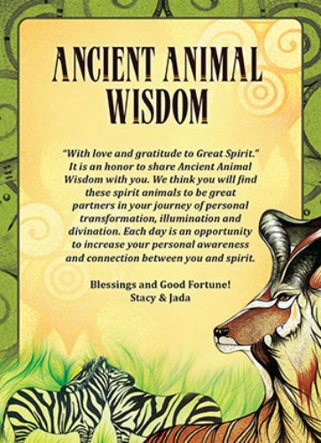 Knyga "Ancient Animal Wisdom" – geltonai žalias iliustruotas priekinis viršelis su zebra ir elniu