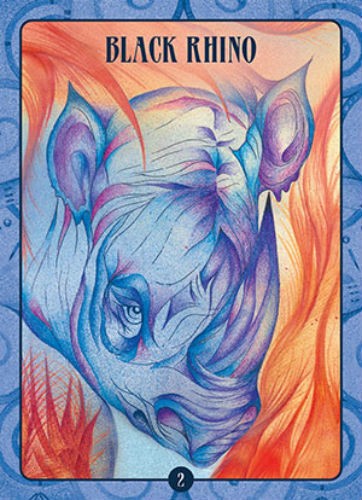 Ancient Animal Wisdom Oracle kortos