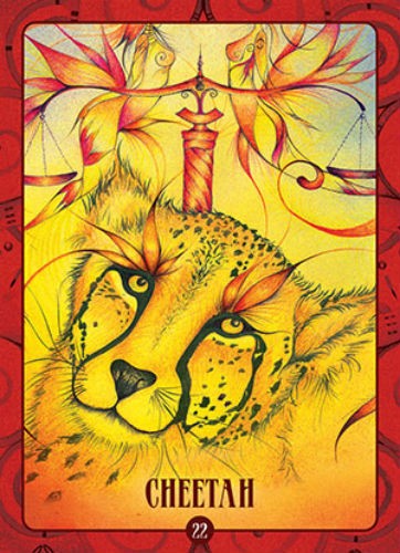 tarot korta su gepardo iliustracija — sodrios geltonos ir raudonos spalvos meninis priekis, numeris 22, detalus atvaizdas