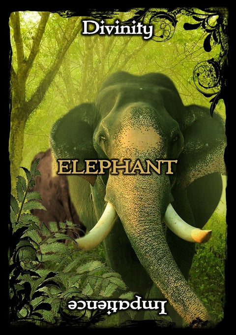 Animal Guidance And Aspects Oracle kortos SolarusHOBI.LT 🇱🇹