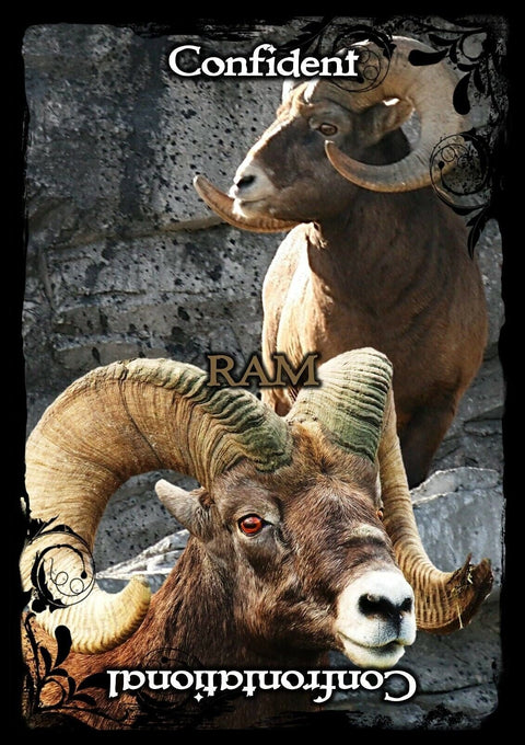 Animal Guidance And Aspects Oracle kortos SolarusHOBI.LT 🇱🇹