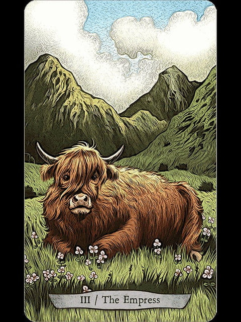 Animal Totem Tarot KortosHOBI.LT 🇱🇹