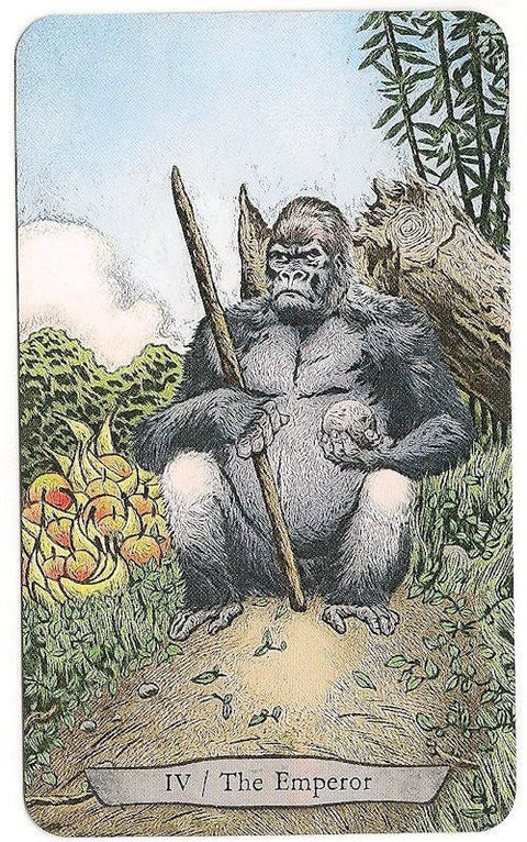 Animal Totem Tarot KortosHOBI.LT 🇱🇹