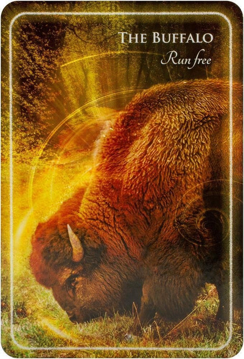 Animal Whispers Empowerment kortosHOBI.LT 🇱🇹
