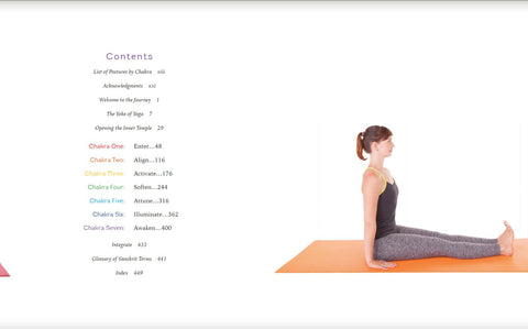 jogos poza — sėdinti Paschimottanasana profilio rodinyje ant oranžinio kilimėlio, tiesios kojos ir rankos šonuose, iliustruoja pradinį tempimą