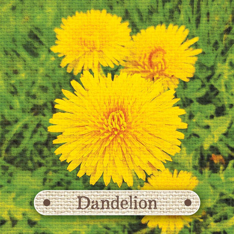 pienežolė – arti geltonų žiedų ir žalio fono, su siuvinėta etikečių lentele „Dandelion“, skirtas sėklų pakuotei