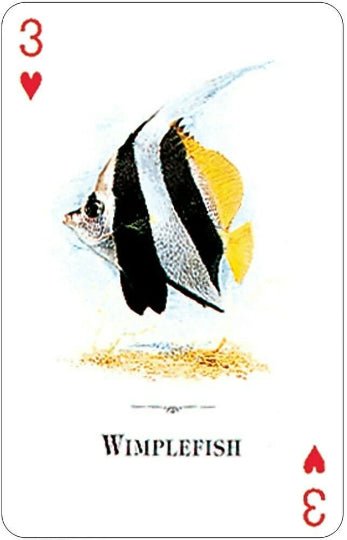 Kolekcinė korta 3♥ su Wimplefish tropinės žuvies piešiniu, baltu fonu ir raudonais kampiniais ženklais