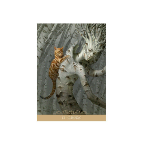 Barbieri Fantasy Cats Oracle kortosHOBI.LT 🇱🇹
