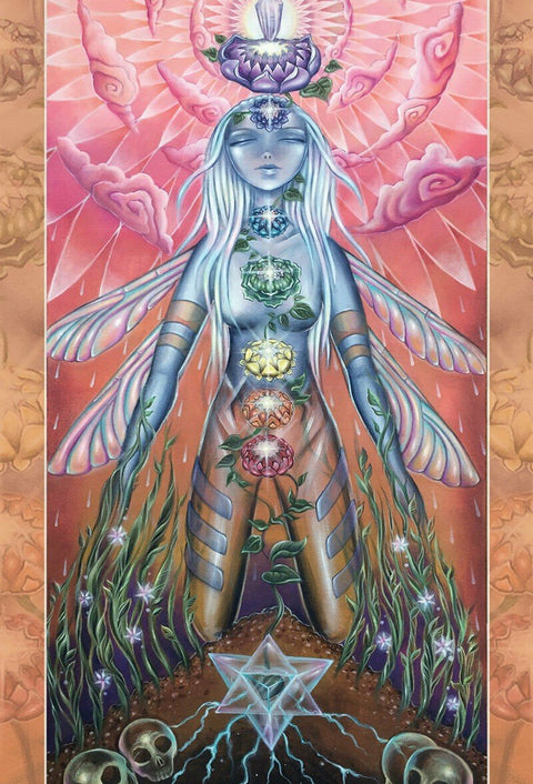 Beyond Lemuria Oracle pocket kortosHOBI.LT 🇱🇹