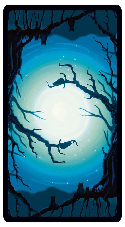 Black Cats Tarot KortosHOBI.LT 🇱🇹