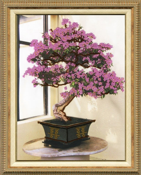 bonsai medis su rožiniais žiedais ir vingiuotu kamienu, kompaktiškas, keraminėje juodoje vazonėlyje su auksinėmis detalėmis, padėtas prie lango