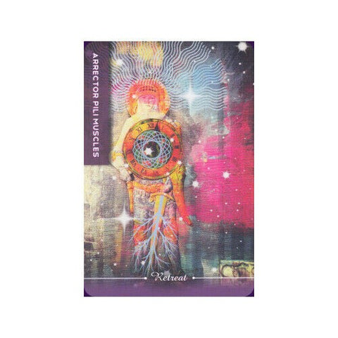 Body Cards Tarot Kortos