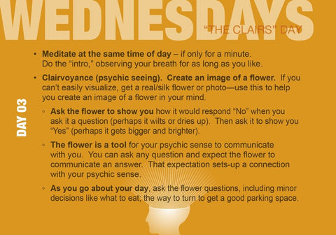 Infografika "Wednesday Day 03" meditacijos gidas: oranžinis puslapis su nurodymais apie vizualizaciją ir gėlės klausimus