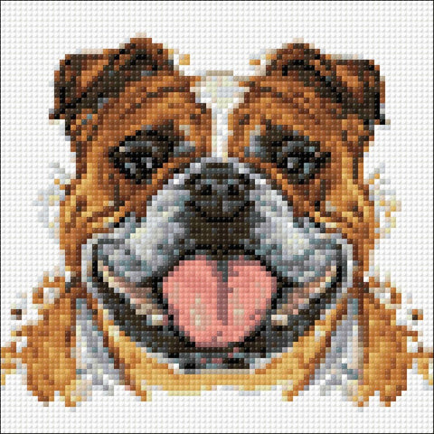 Deimantinė tapyba buldogas, rinkinys 30×30 cm, frontalus artimas kampas su ryškiomis ruda‑balta spalvomis