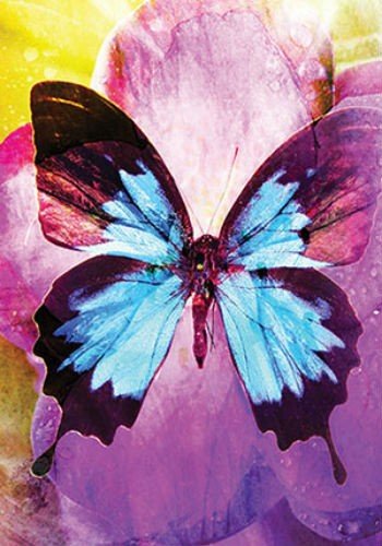 Butterfly Affirmations kortosHOBI.LT 🇱🇹