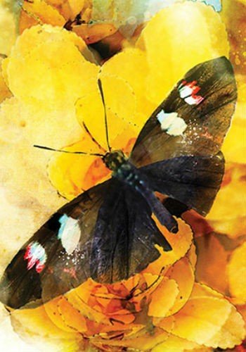 Butterfly Affirmations kortosHOBI.LT 🇱🇹
