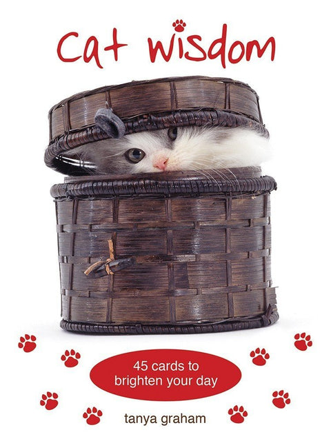 Cat Wisdom kortosHOBI.LT 🇱🇹