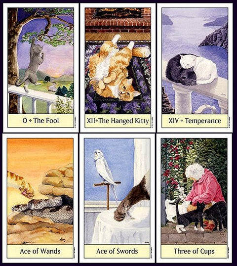 Cats Eye Tarot kortosHOBI.LT 🇱🇹