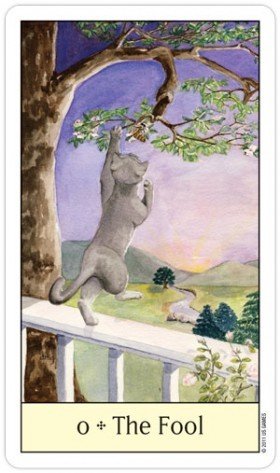 Cats Eye Tarot kortosHOBI.LT 🇱🇹