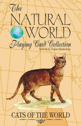 Cats of the Natural World žaidimo kortosHOBI.LT 🇱🇹