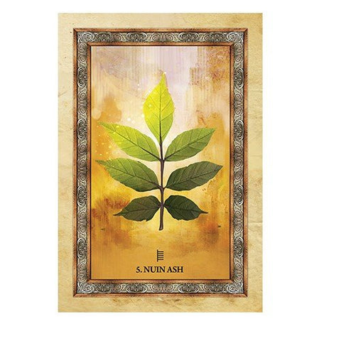 Celtic Tree Oracle kortosHOBI.LT 🇱🇹