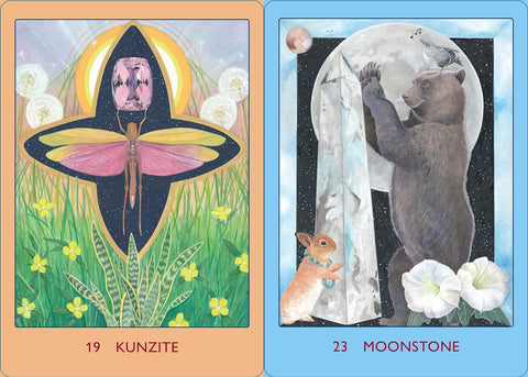 kortų rinkinys su dviem iliustruotomis priekinėmis kortomis: rožinė Kunzite (vabzdys, žolė) ir mėlyna Moonstone (lokys, krištolas)