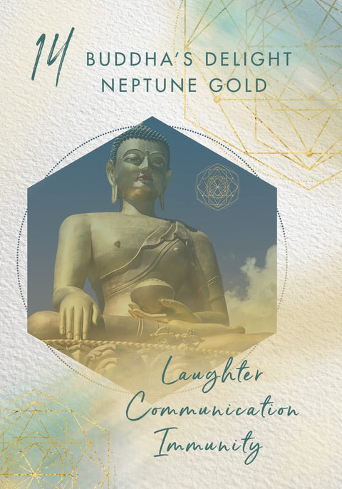 Buddha's Delight Neptune Gold — auksinė sėdinti Buda centre, akcentuojanti juoko, komunikacijos ir imuniteto temą