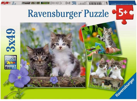 Dėlionė Ravensburger 3x49 dalys su trimis įvairių kadrų kačiukų paveikslais, ryškiai žalia dėžutės fona