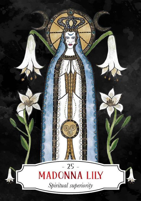 Madonna Lily korta, ornamentuota mėlynos ir aukso spalvų mantija su auksiniu halu, baltomis lelijomis šonuose, juodu fonu, numeriu 25 ir centriniu simboliu