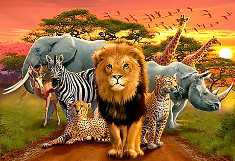 sienų plakatas su safari motyvu: ryškus liūtas priekyje, zebras, dramblys, raganosis ir žirafos saulėlydyje, itin sodrios spalvos