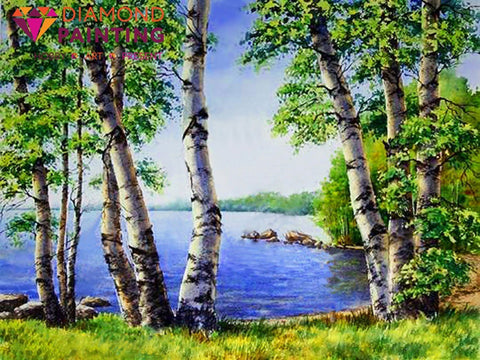 Diamond painting rinkinys su ežero motyvu — beržų alėja priešais mėlyną vandenį, dekoracijai kabinti ant sienos