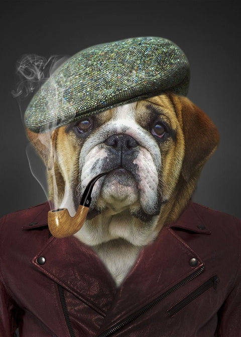 HOBI.LT 🇱🇹: Deimantinis paveikslas Detective Bulldog AZ - 1717 30x40cm - HOBI.LT 🇱🇹