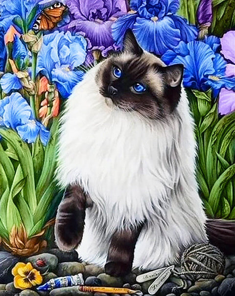 Paveikslas ragdoll katė su ryškiai mėlynomis akimis tarp mėlynų kardelių, drobė su siūlų kamuoliu ir dažų vamzdeliais
