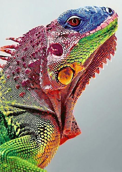 Iguanos plakatas ryškiais žaliai‑rausvais tonais, detali art print profilio makro užfiksuota ant drobės 60×90 cm